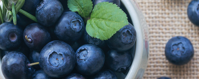 蓝莓有哪些品种
