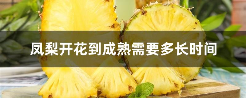 凤梨开花到成熟需要多长时间