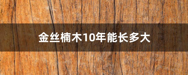 金丝楠木10年能长多大